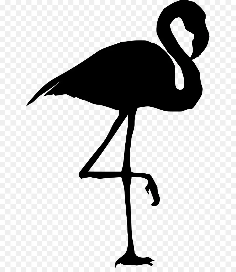 Silhouette，Flamingo PNG
