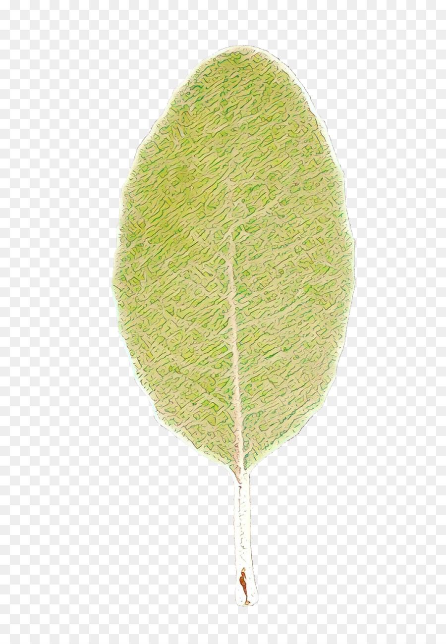 Feuille， PNG