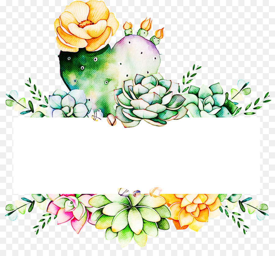 Plantes Succulentes，Cactus PNG