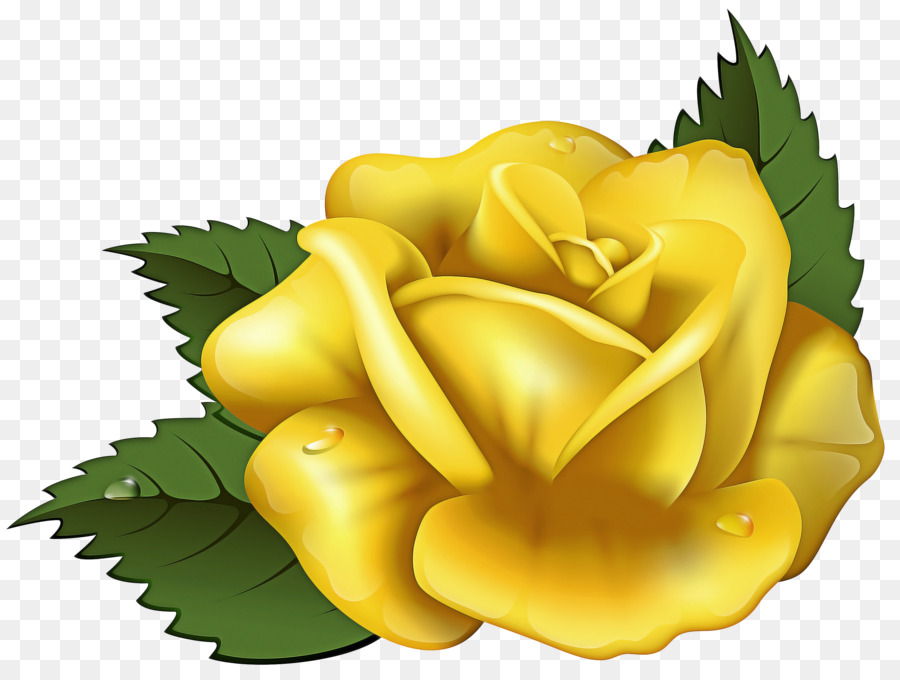 Rose，L'art PNG