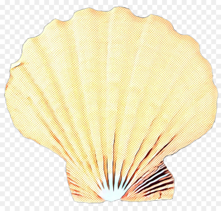 Coquillage，Conchology PNG