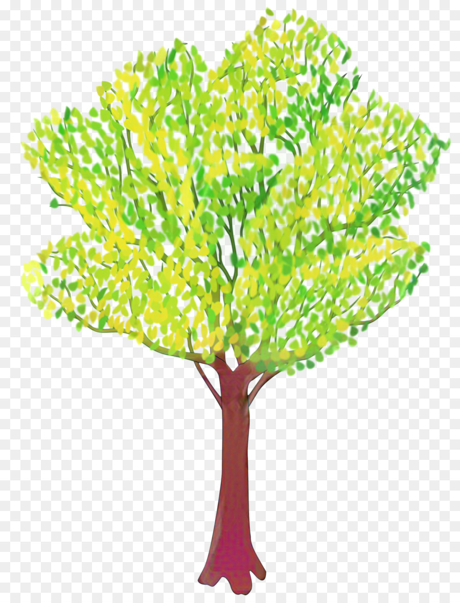 Animation，Arbre PNG