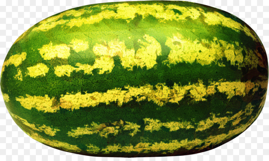 Melon Vert，Melon PNG