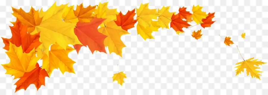 Feuilles D'automne，Automne PNG