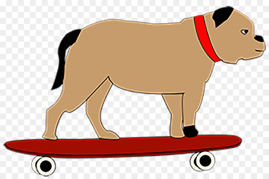 Chien Sur Planche à Roulettes，Chien PNG