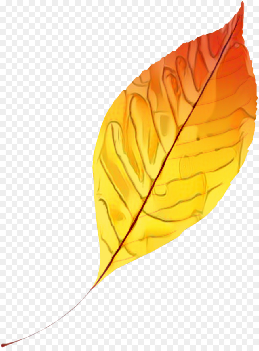 Feuille Jaune，Bifurquer PNG