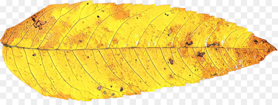 Feuille，Jaune PNG