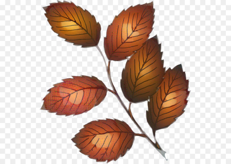 Feuilles Brunes，Automne PNG