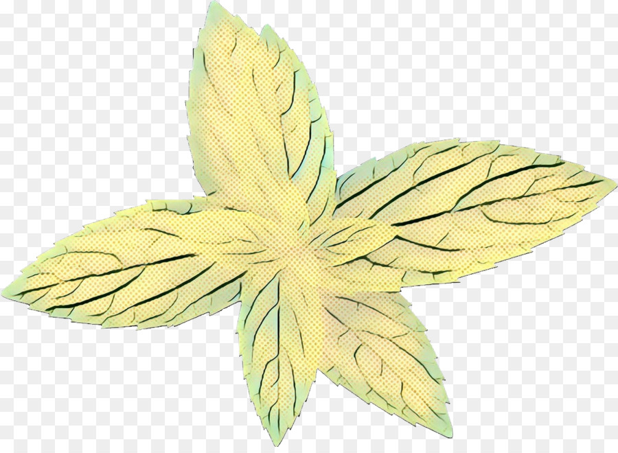 Feuille，Arbre PNG