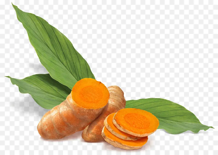 Curcuma，Racine PNG