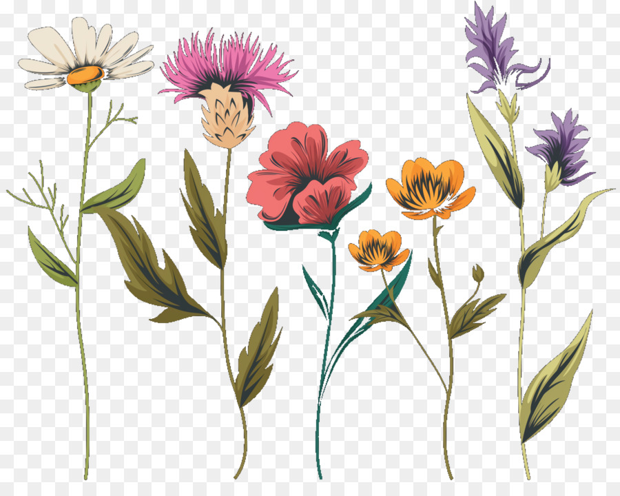 Fleurs，Jardin PNG