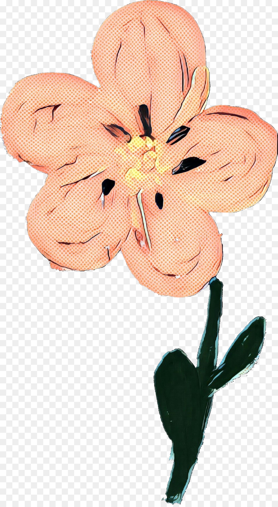 Pétale，Les Fleurs Coupées PNG