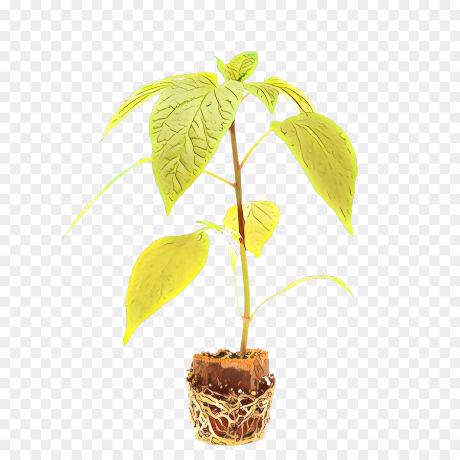 Arbre，Flowerpot PNG