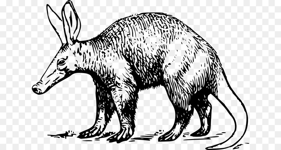 Aardvark，Dessin PNG