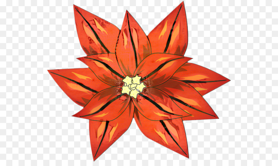 Poinsettia，Rouge PNG