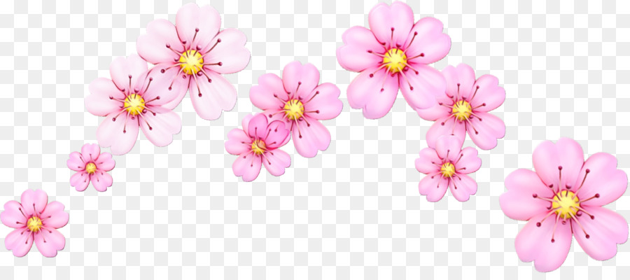 Fleurs Roses，Fleurs PNG