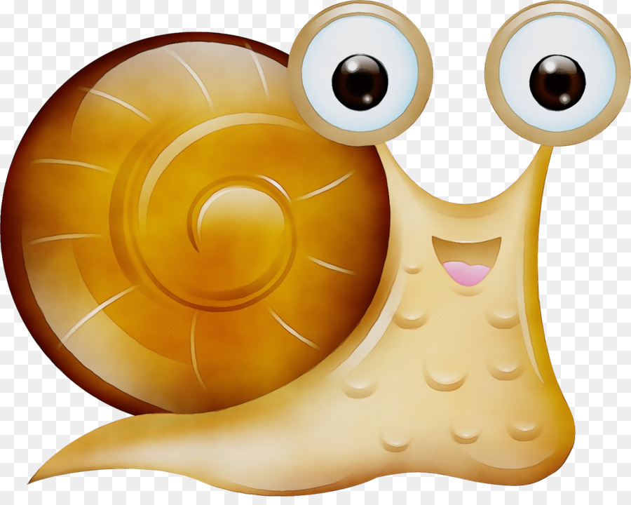 Escargot，Coquille PNG