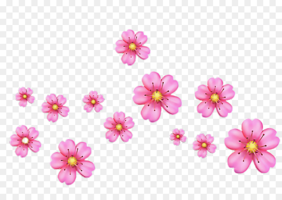 Fleurs Roses，Fleurs PNG