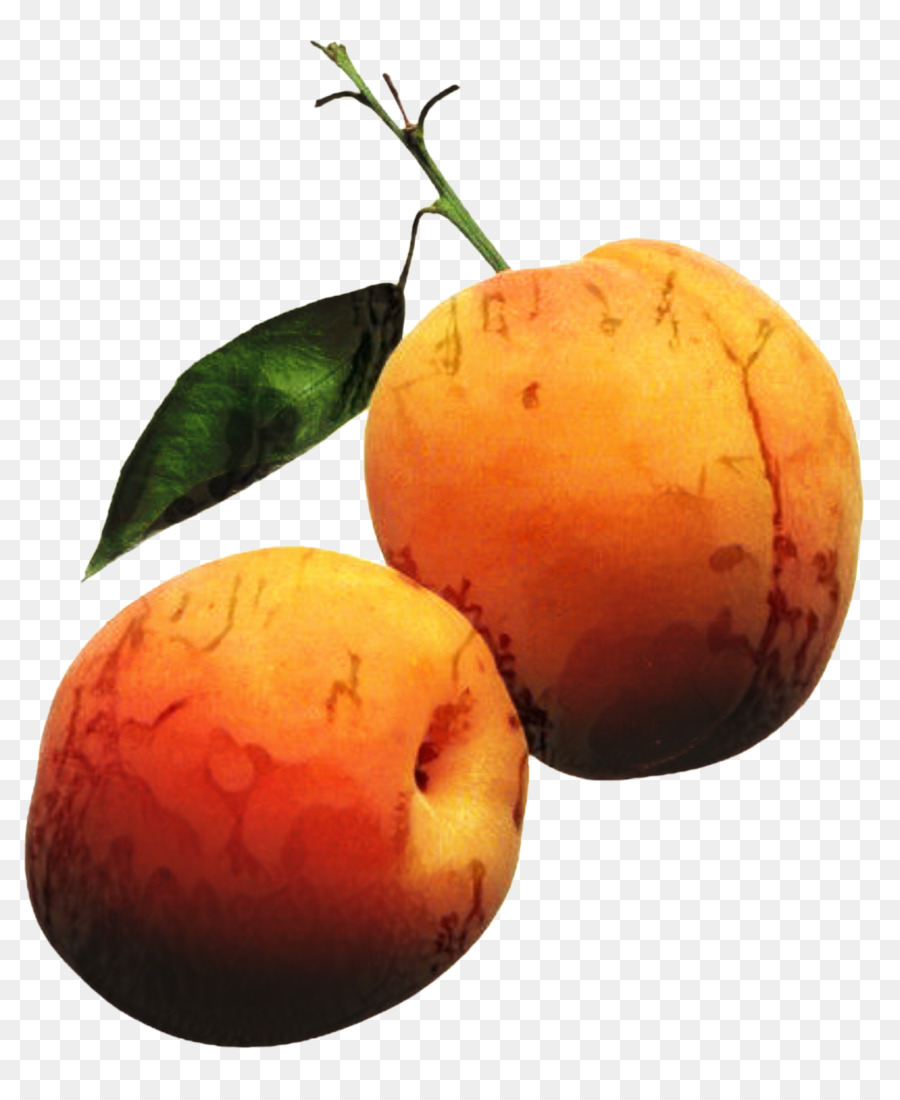 Abricot，Fruits PNG