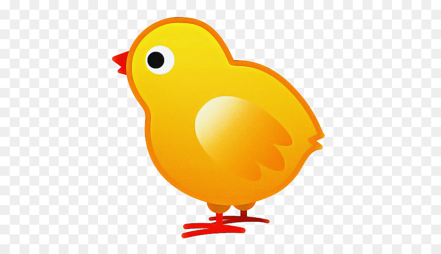 Poulet，Canard PNG