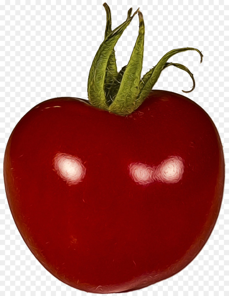 Tomate Prune，Tomate PNG