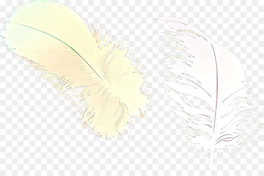 Plume，Doux PNG