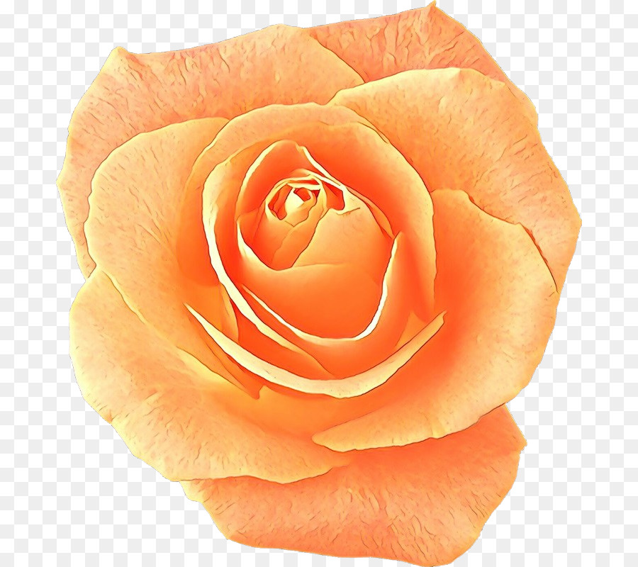 Pêche Rose，Floraison PNG