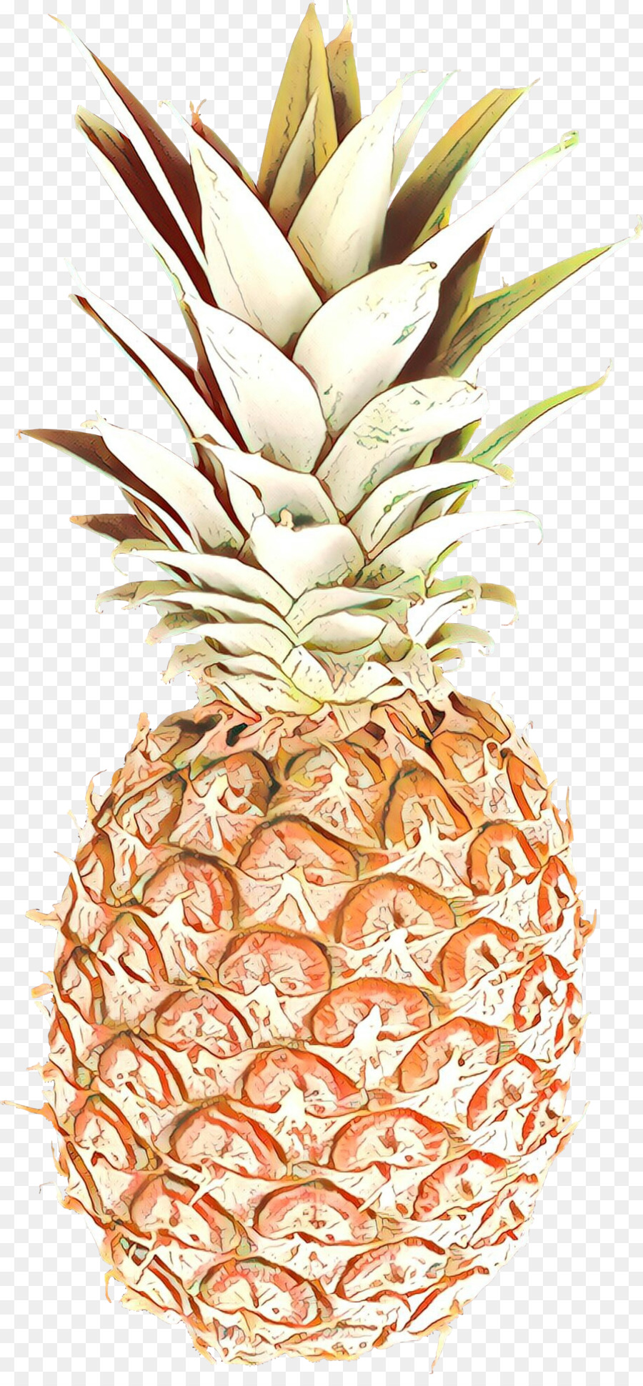 Ananas，Tropical PNG