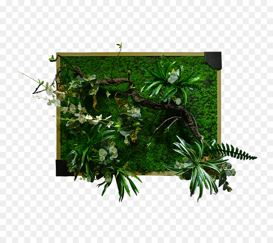 Cadre De Plante Verte，Plantes PNG