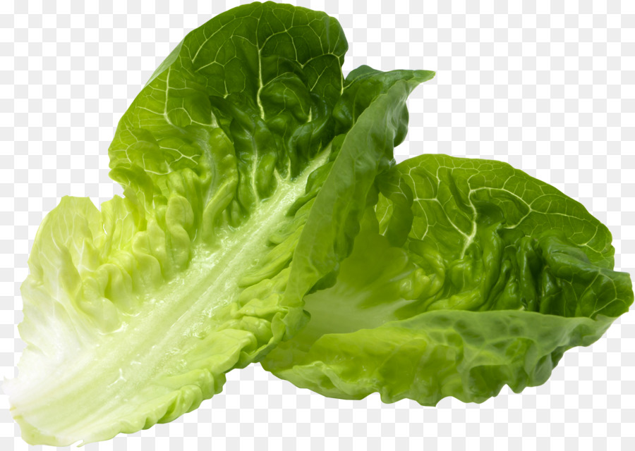 Hamburger，Laitue Romaine PNG