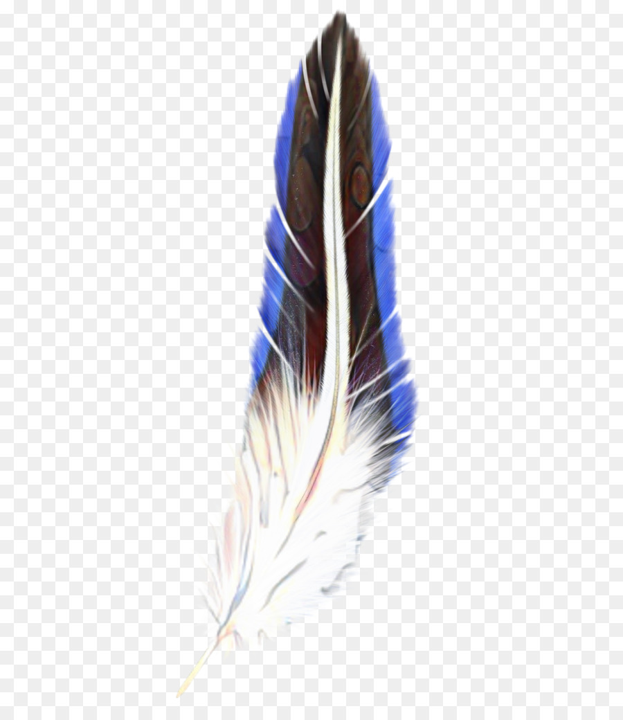 Plume，Oiseau PNG