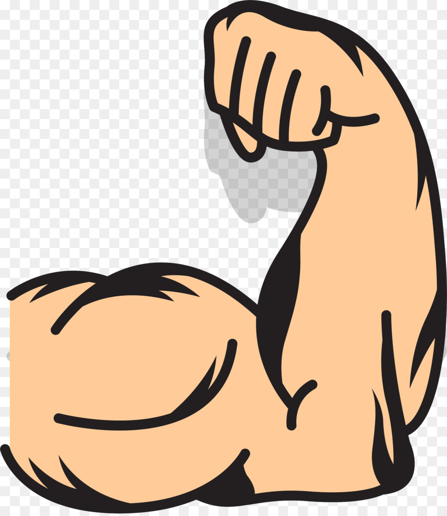 Muscle, Biceps, Bras PNG - Muscle, Biceps, Bras transparentes | PNG gratuit