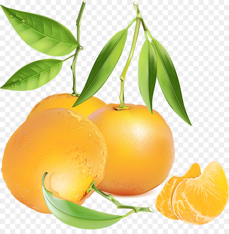 Oranges，Agrumes PNG