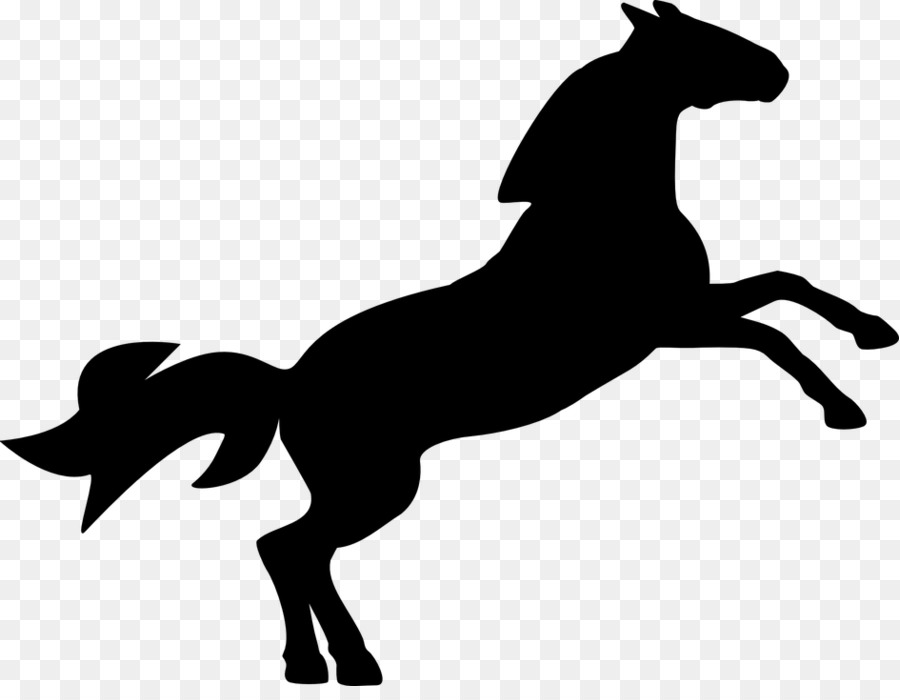 Cheval Noir，Silhouette PNG