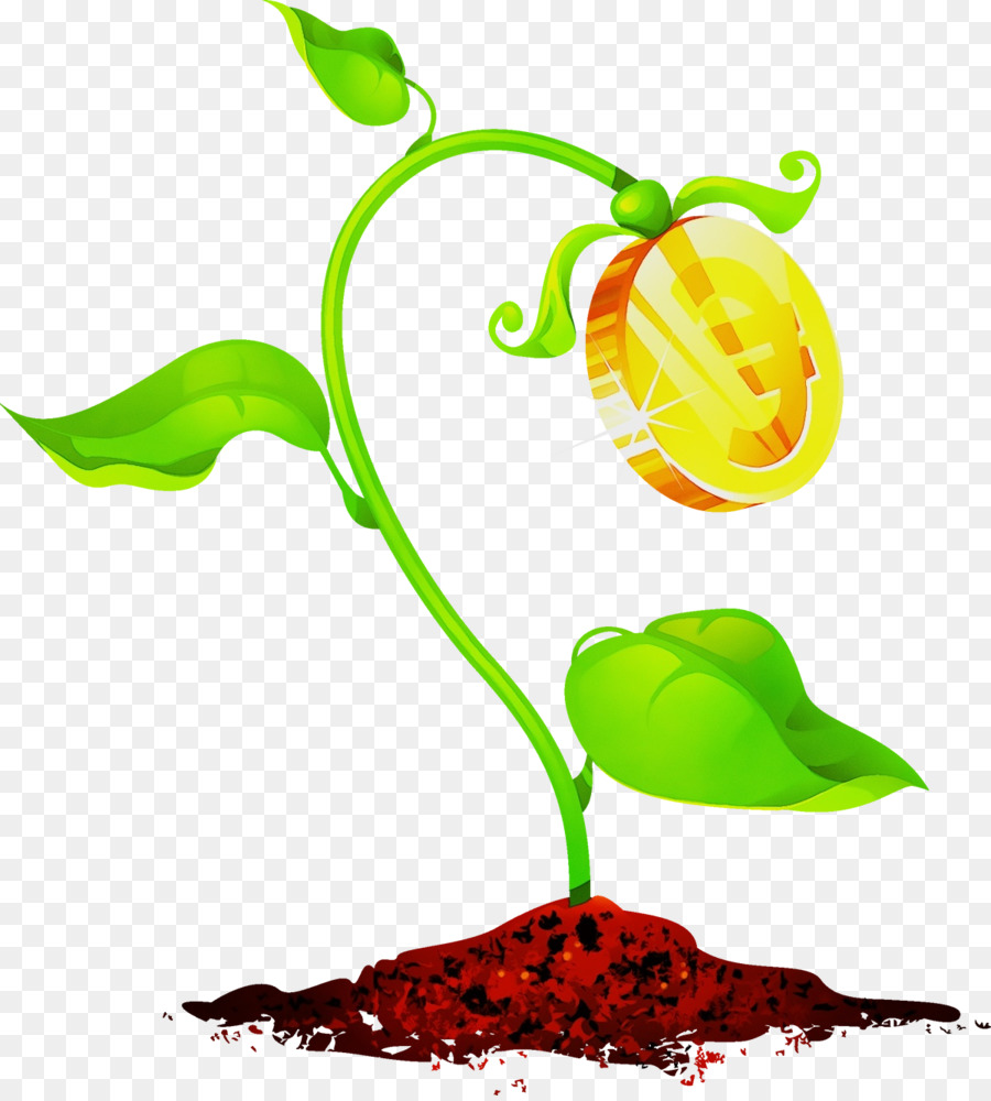 Tige De La Plante，Fleur PNG