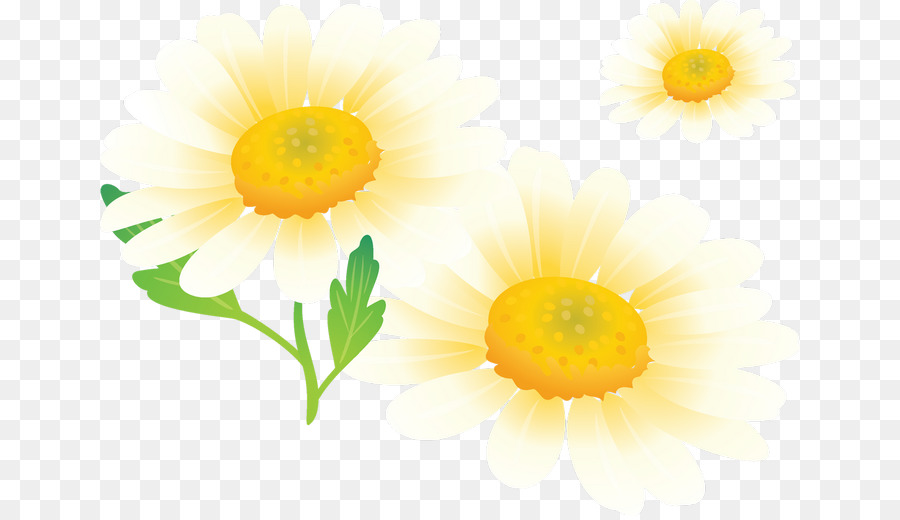 Fleurs Jaunes，Jardin PNG