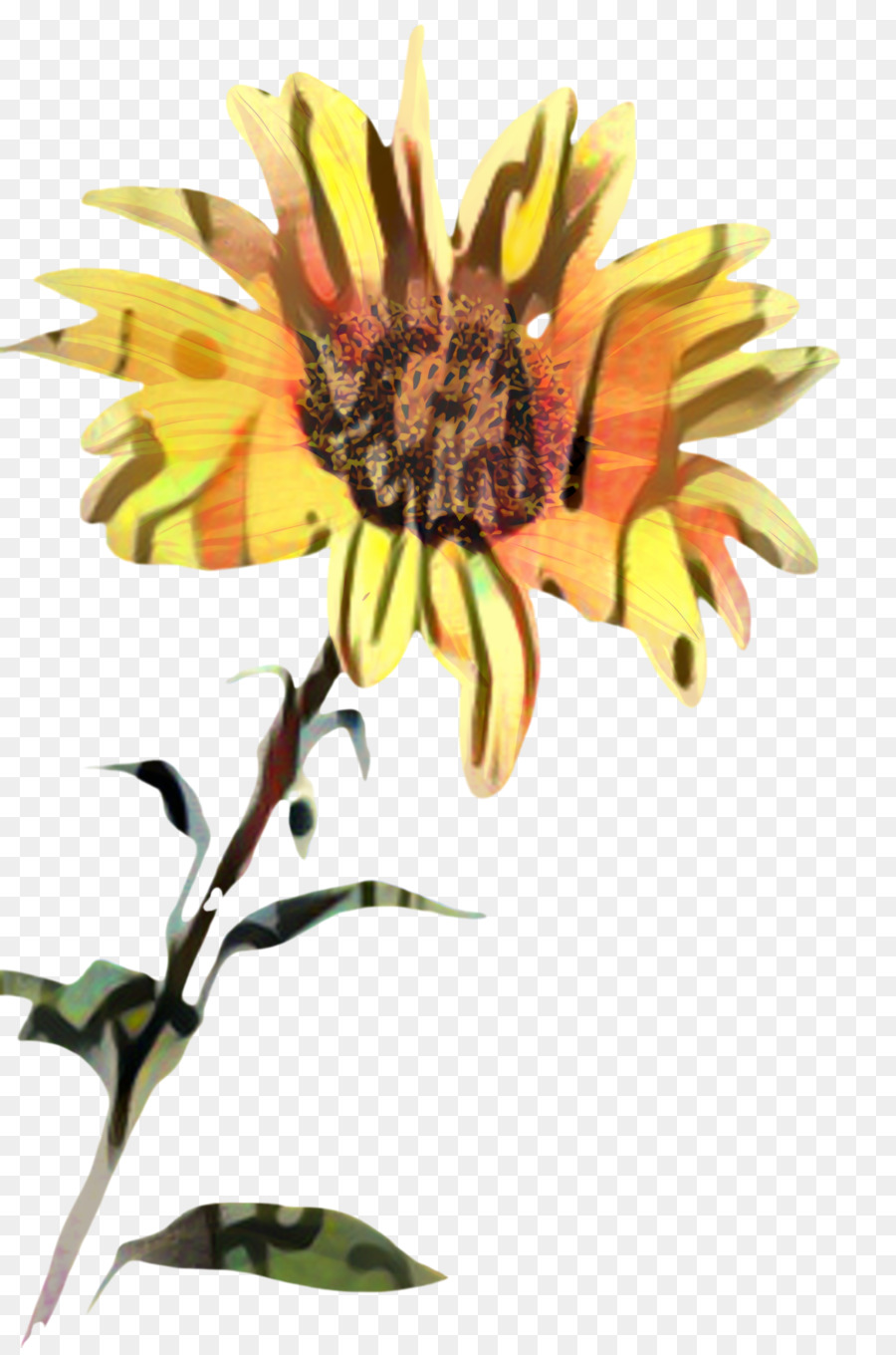 Commune De Tournesol，Les Fleurs Coupées PNG