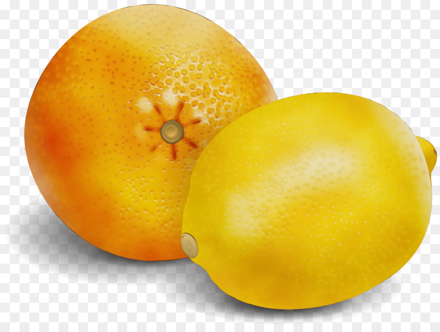 Citron Et Orange，Agrumes PNG