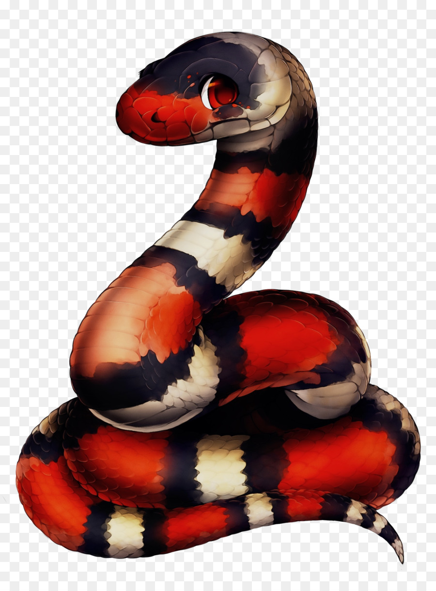 Serpent Coloré，Reptile PNG