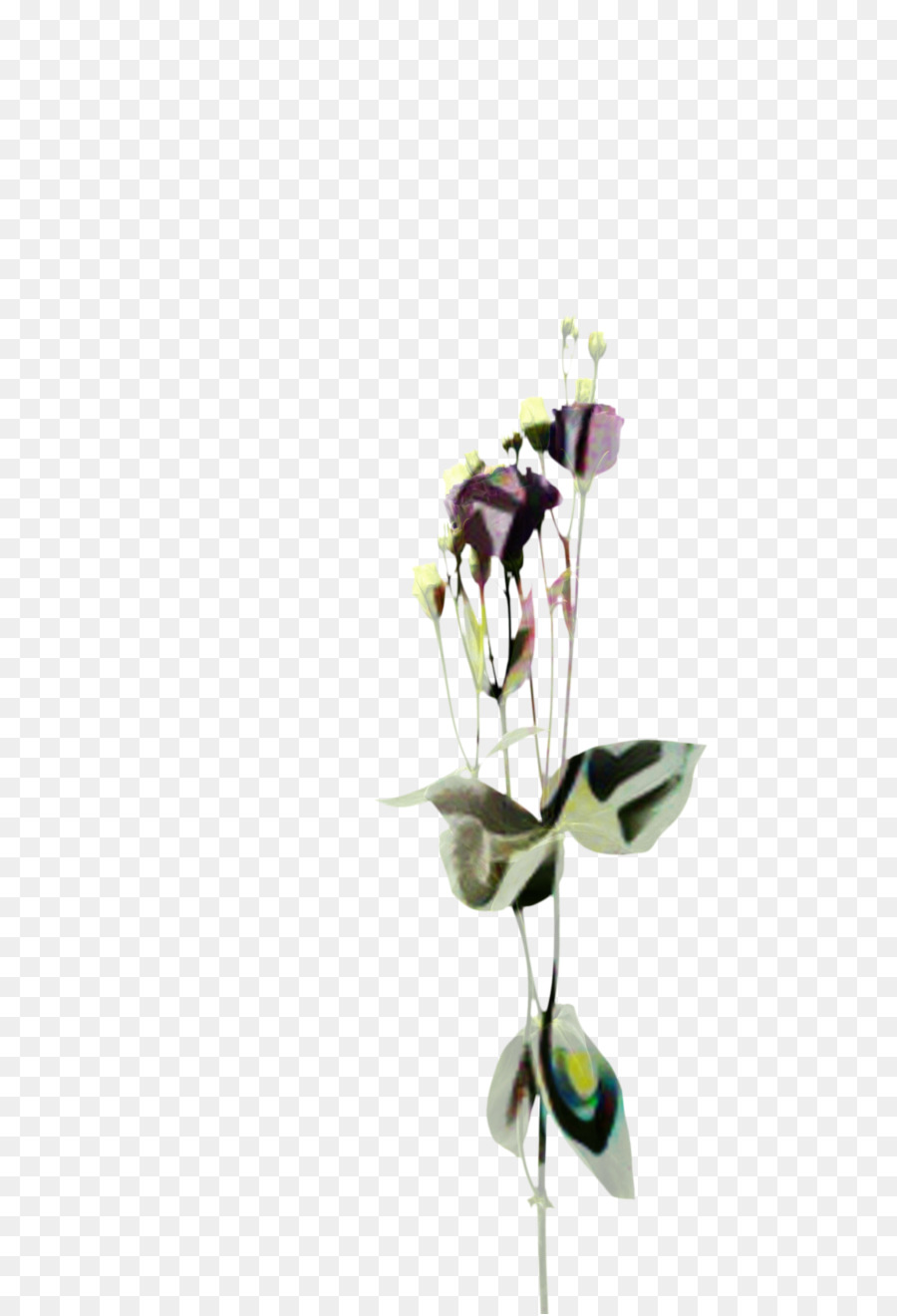 Les Fleurs Coupées，Vase PNG