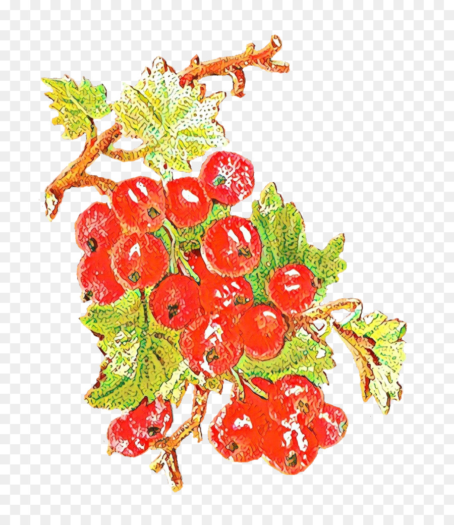 Fraise，Groseille PNG