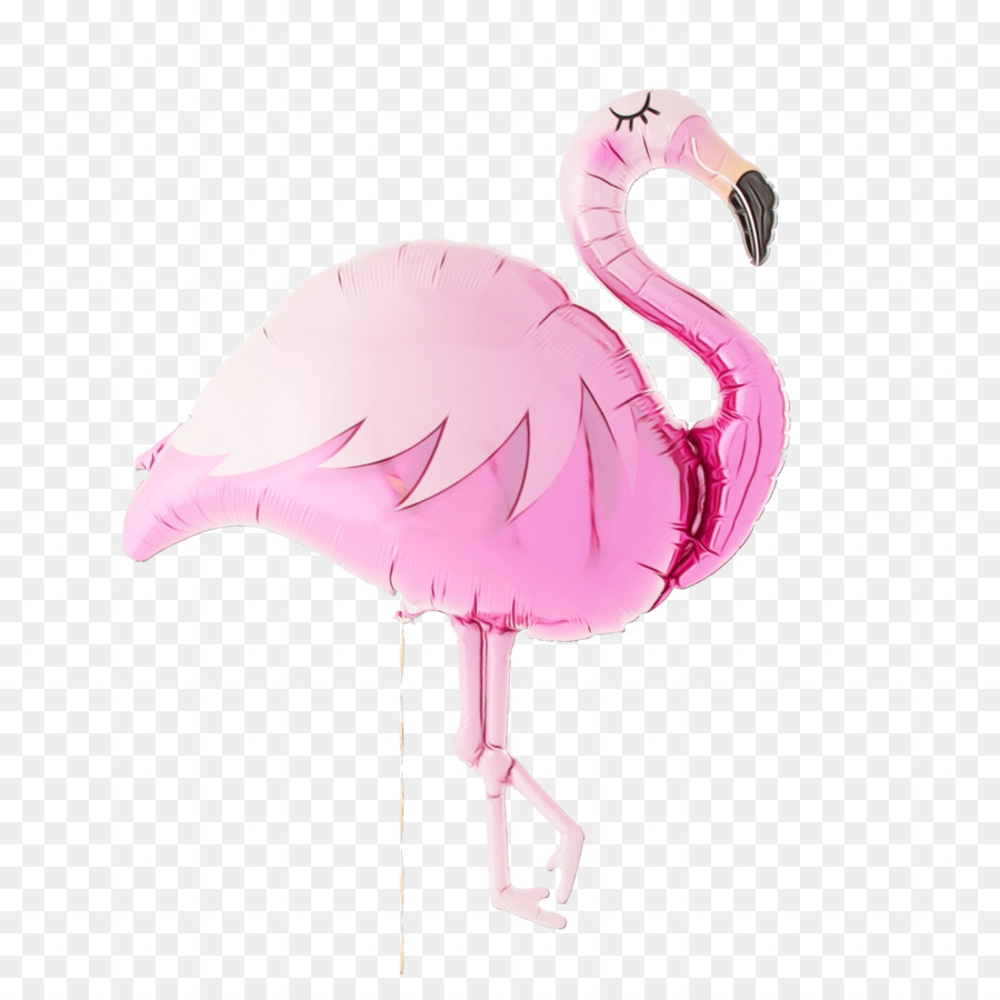 Flamant Rose，Animal PNG