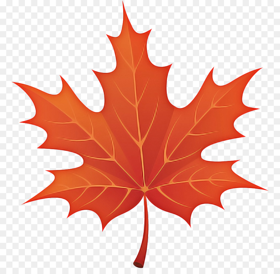 Feuille Rouge，Automne PNG