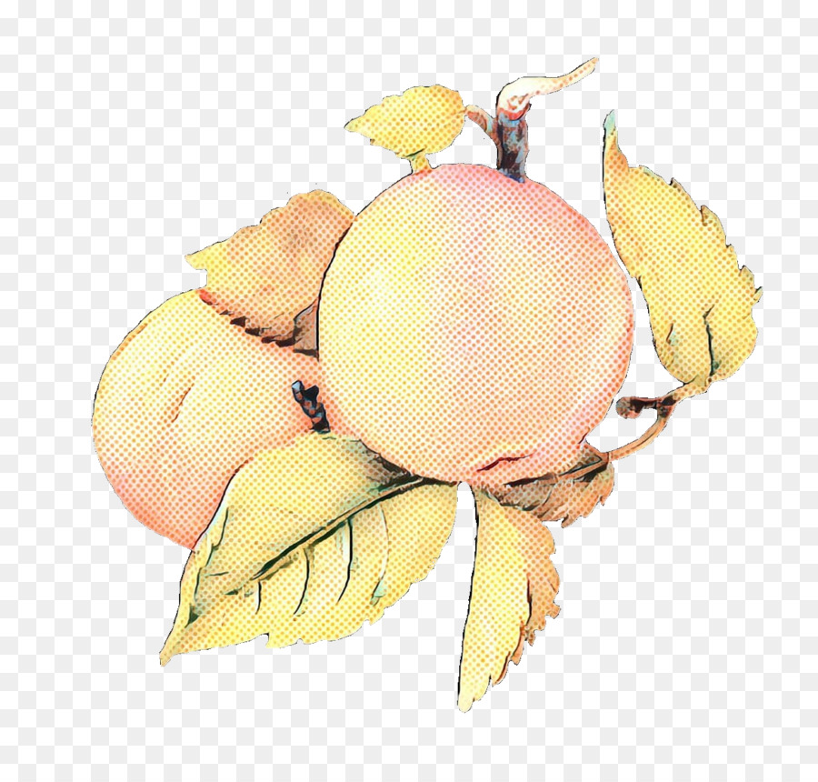 Fruits， PNG