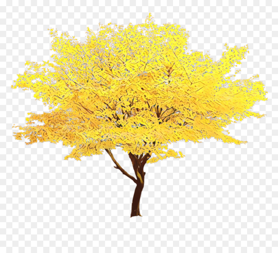 Arbre D'automne，Feuilles PNG