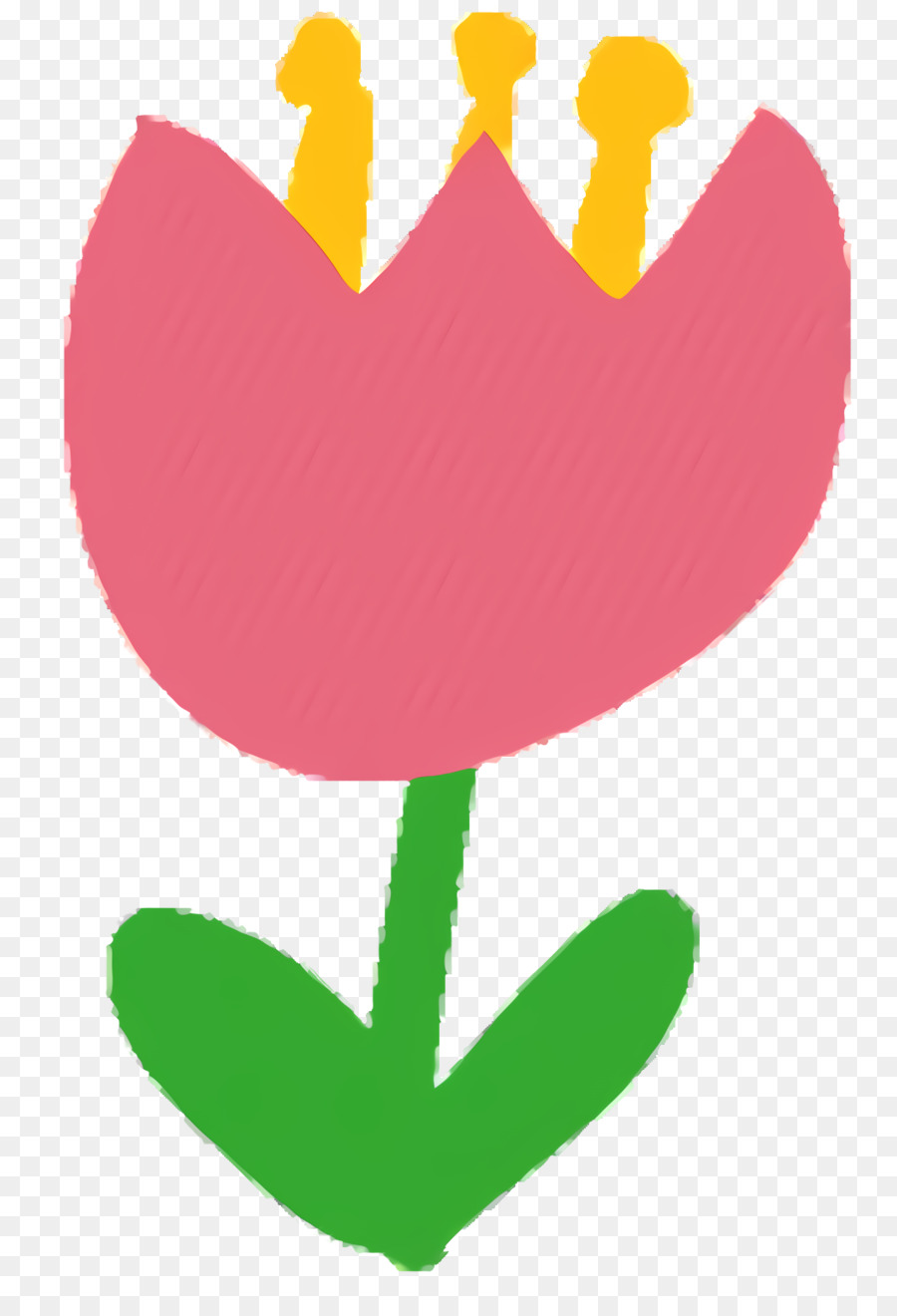 Tulip，Tige De La Plante PNG