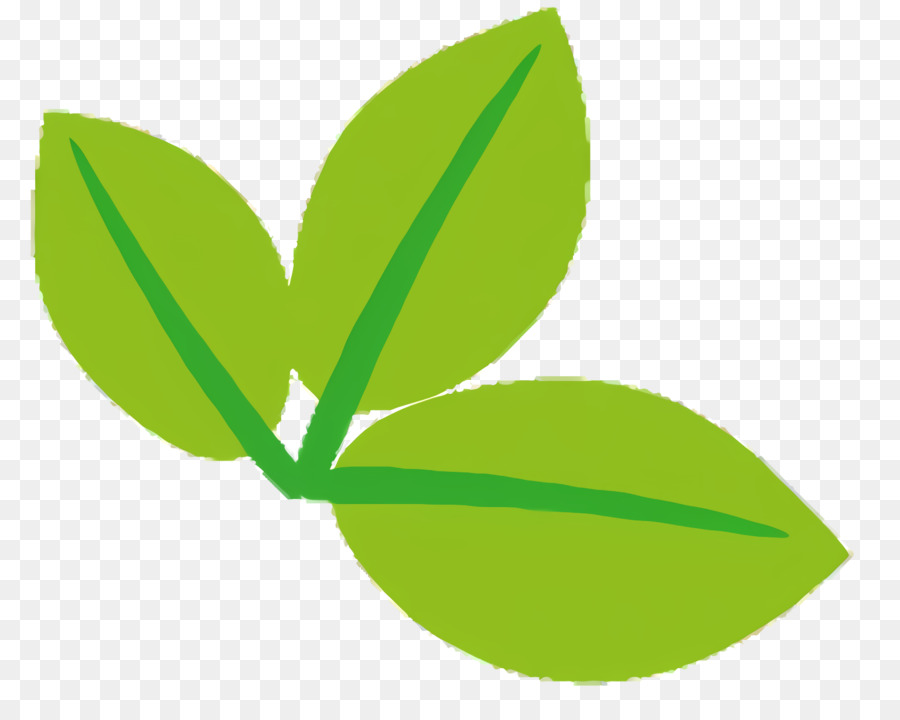 Feuilles Vertes，Usine PNG