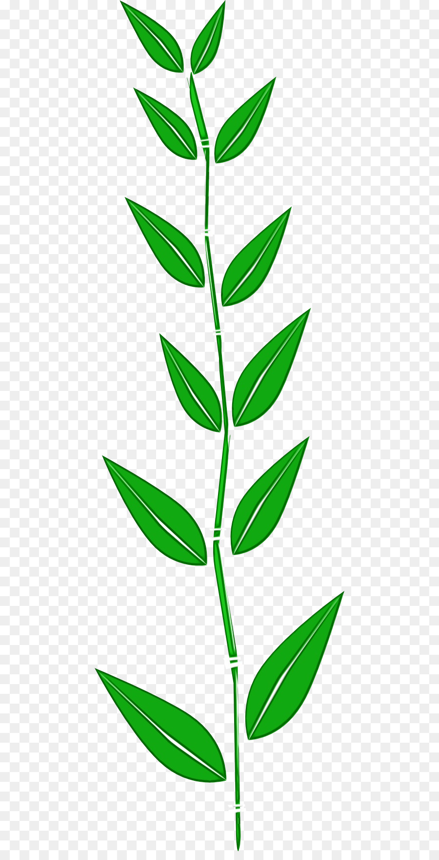 Feuille Verte，Usine PNG