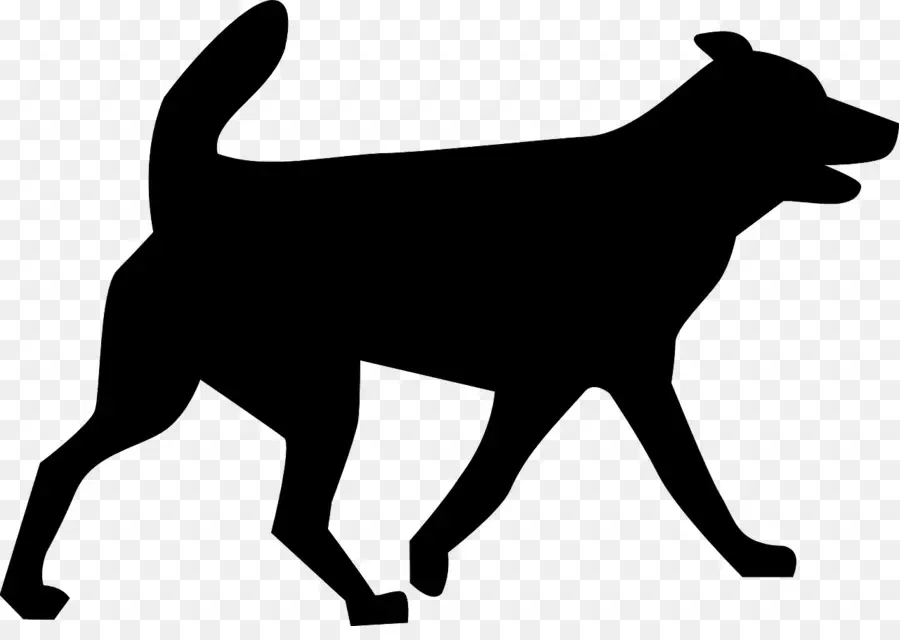 Silhouette De Chien，Noir PNG