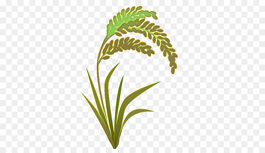 Usine De Riz，Grain PNG